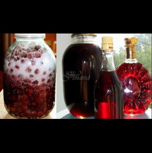 От 3 кг вишни правя 10 бутилки домашна вишновка - става убийствен еликсир с рубинен цвят, приятелките умират за нея: