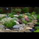 Каменни градини - най-новата мода в двора, която твори красоти от нищото (Снимки):