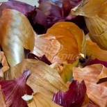 Люспи от лук за градинските растения-Приготвяне на живителна отвара рецепти и за подхранване и срещу вредители