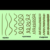 В коя от 3-те групи спадате. Кажете ни и ние ще ви разкрием тайната на това как да имате гъста, красива и дълга коса