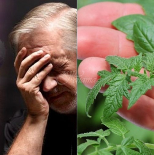 Учените посочиха кой е зеленчукът, който предотвратява рак