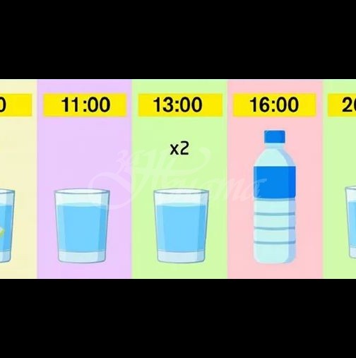 Правилен режим на пиене на вода през деня за най-големи ползи за здравето