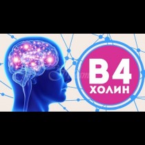 Алцхаймерът отива в отпуск. 5 вещества, които са жизненоважни за мозъка ви