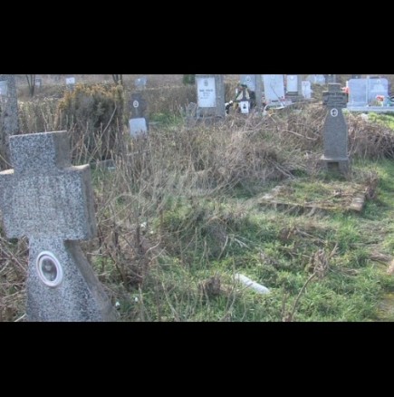 Потънаха буквално в забрава - бурени покриха гробовете на родните звезди (Снимки):