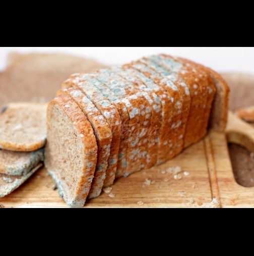Вредно ли е да ядем плесенясал хляб? Ето цялата истина и какво може да ни се случи: