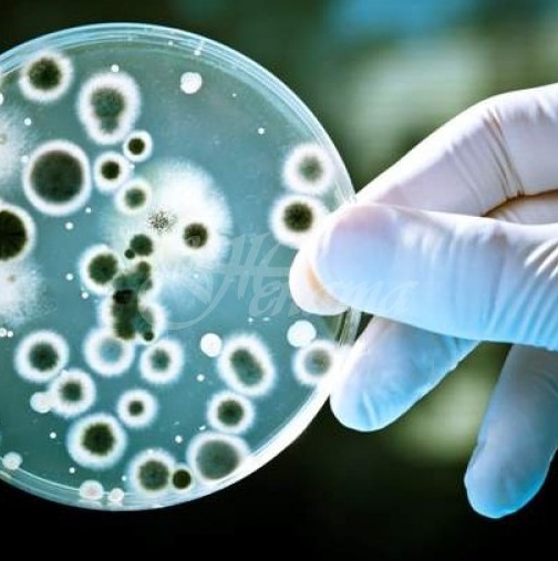 Месоядна бактерия изяде една четвърт от кожата на мъж, който се зарази с нея