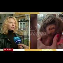 Дете на две години падна в занималня в София