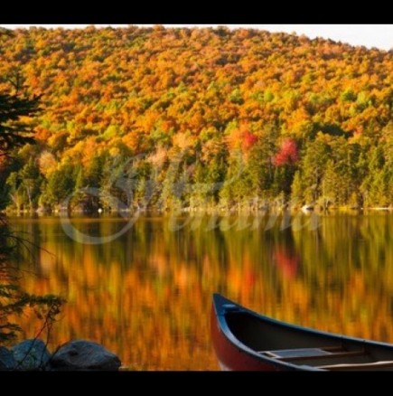 Седмичен хороскоп за периода от 30 септември до 6 октомври-Сериозно подобряване на финансовото състояние за три зодии