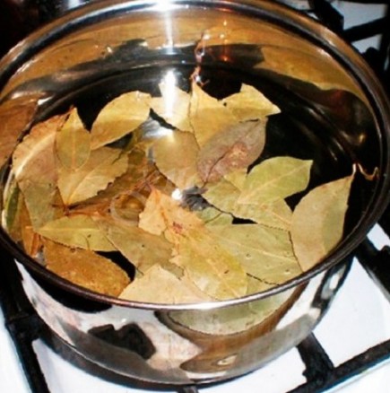 Как да слагате правилно дафинов лист в ястията и да не горчи-Няма друга подправка и билка с такъв колосален лечебен ефект
