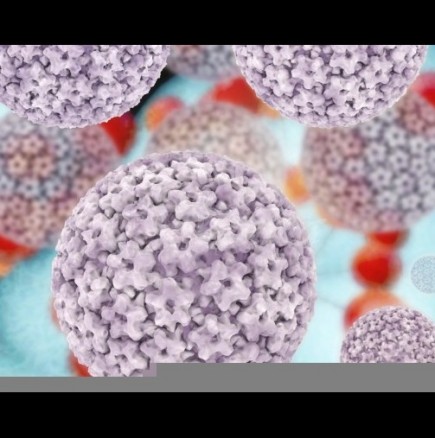 Експерт разкри как е възможно да се заразим с папилома вирус 