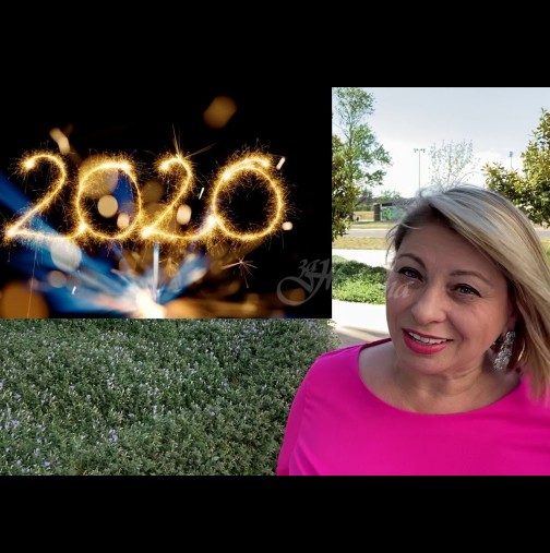 ТОП Хороскоп за 2020 г. от Анджела Пърл: ОВЕН нови възможности, ТЕЛЕЦ независими решения, ДЕВА привличате просперитет!
