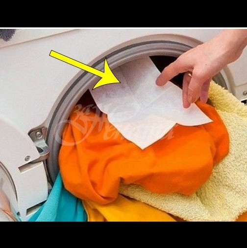 Откакто видяха ползите, всички започнаха да слагат по една мокра кърпичка в пералнята-Аз също така правя вече!