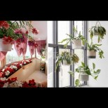 22 страхотни идеи как да подредите цветя у дома, за да стане апартамента ви приказен като къщичка от приказките (снимки)