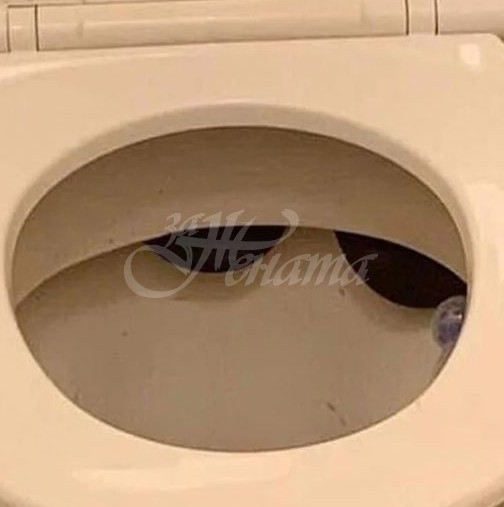 Мъж се вледени от ужас от откритието в тоалетната 