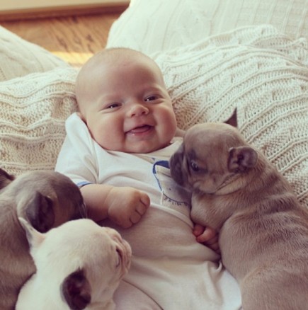 Бебе и кученца като неразделни другари
