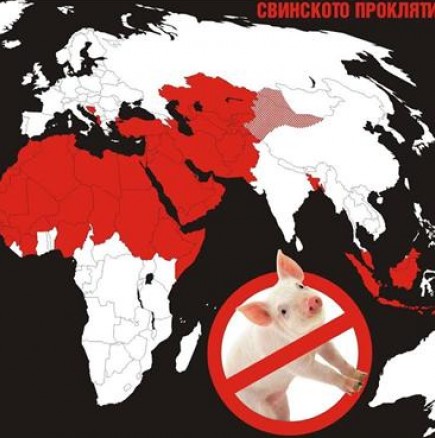 Българското прасе ни е спасило от поробване