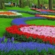 "Дворът на Европа" - най-голямата и най - разкошна цветна градина