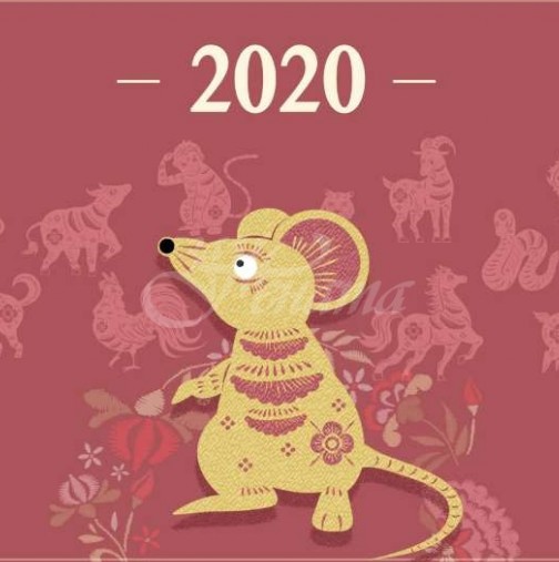 Най-точният Китайски хороскоп за 2020 г. за всеки знак: