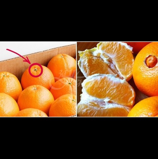 Видя ли това на портокала, вече знам, че ще е сладък и вкусен. Ето какво трябва да търсим на кората: