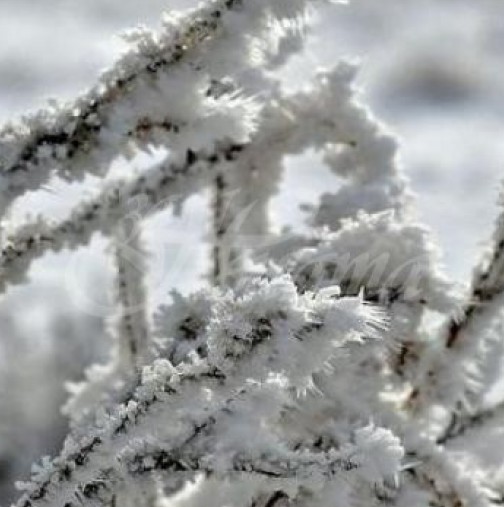 Сериозен студ лъха от месечната прогноза за времето за януари