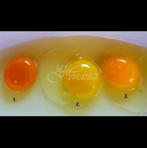 Как да разберем кое яйце е снесено от здрава кокошка? Ето истината с бърз тест: