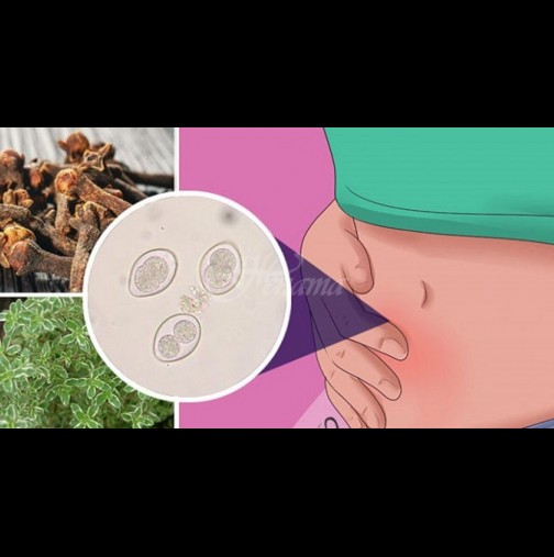 Те рушат тялото на всеки трети човек - 10 тихи симптома на паразити и как да ги изкараме от тялото с билки: