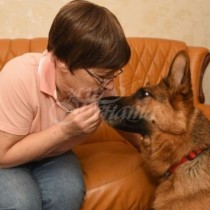 Кучета започнаха да се държат странно със стопанката си и ѝ спасиха живота