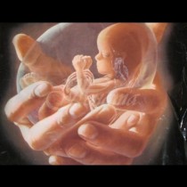 Учени-неродените бебета чувстват болка по време на аборт