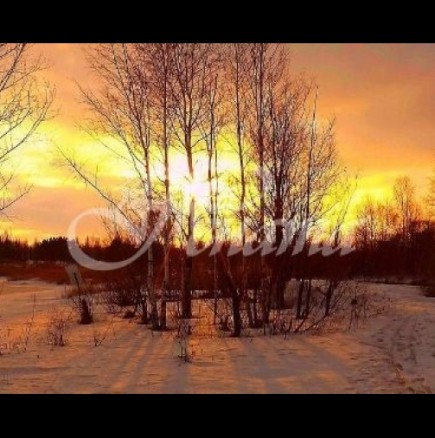 Хороскоп за днес, 1 март-Две зодии ще имат повече късмет, отколкото могат да си представят