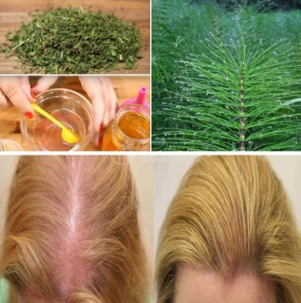 Най-доброто природно средство за укрепване и растеж на косата