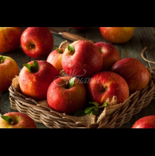 Ябълките са нож с две остриета: ето кога е абсолютно противопоказно да ги ядете