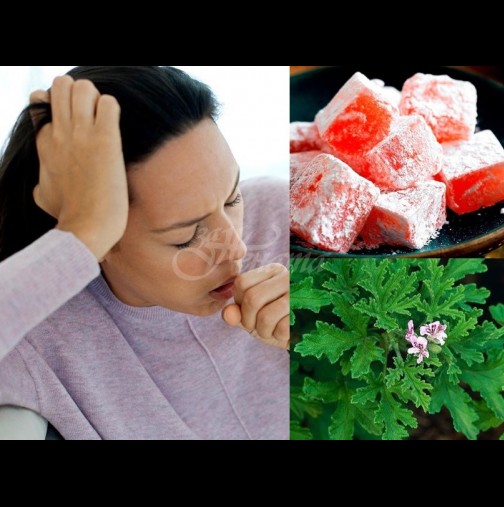 Индрише + локум и кашлицата бяга надалеч - 4 народни рецепти, които пресичат кашлицата в зародиш: