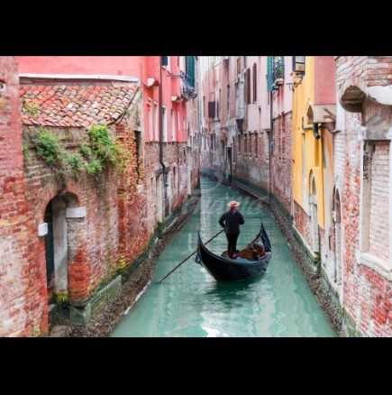 Чудо в Италия - заради карантината каналите на Венеция се напълниха с лебеди и делфини (Снимки):