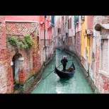 Чудо в Италия - заради карантината каналите на Венеция се напълниха с лебеди и делфини (Снимки):