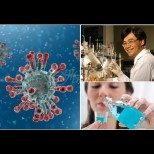 Най-простичката профилактика срещу коронавируса от китайски професор: "Направете това, за да не стигнете до болница"