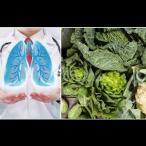 Храните, които бронират дробовете срещу коронавируса и други дихателни заболявания: