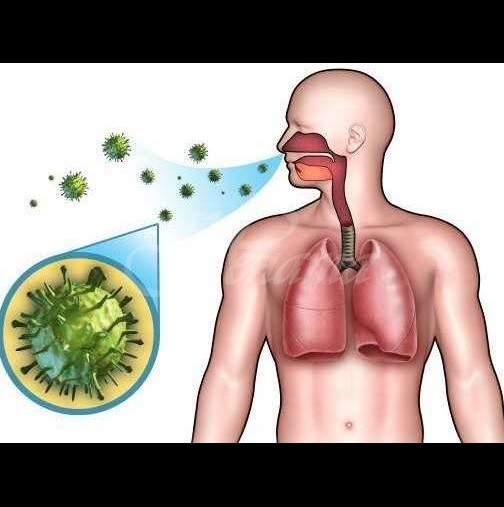 Най-добрите билки и домашни средства при лечение на пневмония:антивирусно, чисти дихателните пътища и помагат отхрачването!