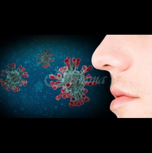 Немски вирусолог: в две трети от случаите коронавирусът започва с тези неизвестни досега симптоми: