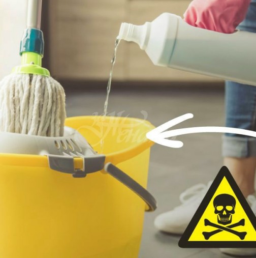 6 знака, че домът ви е мръсен и трябва да вземете мерки