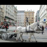 Аристократизъм насред пандемия: Във Виена разнасят храната по домовете с файтони!