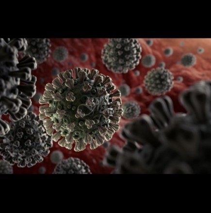Учените с обрат в теорията за коронавируса - не предизвиква пневмония, а нещо по-страшно: