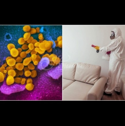 Как да почистим от заразата дом, в който е имало болен от коронавирус - стъпка по стъпка: