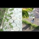 Най-бързият домашен убиец на плевелите: където пръснеш, тревичка не никне! 