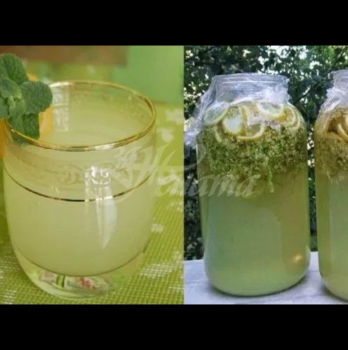 Домашна лимонада от бъз - стъпка по стъпка рецепта