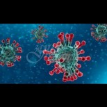 Учените със съмнителни подозрения за коронавируса-Странно е, колко добре се адаптира към човешкия организъм