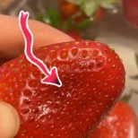А дали сте обърнали внимание на мъничките червейчета, които се намират в ягодите или така си ги похапвате-Видео