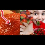 Винаги кисна ягодите в солена вода, преди да ги дам на детето. Ако видите какво излиза от тях, никога няма да ги докоснете!