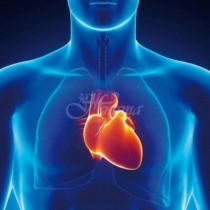 Професор кардиолог-Как може да се разпознаят началните симптоми на инфаркт