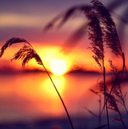 Хороскоп за утре, 31 май: СКОРПИОН нови хоризонти, ВОДОЛЕЙ избягвайте кавгите, РИБИ работете самостоятелно