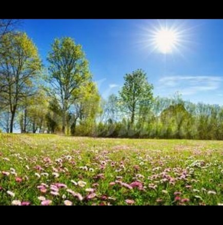 Ако сте Рак, Скорпион и Риби във вторник неочаквани пари, Телец, Дева и Козирог успешни финансови дела